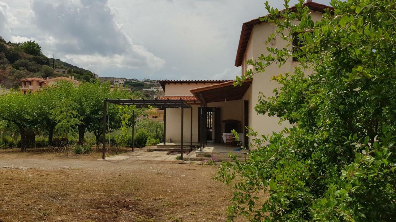 ניאה אפידאורוס Ample Modern Country Home מראה חיצוני תמונה