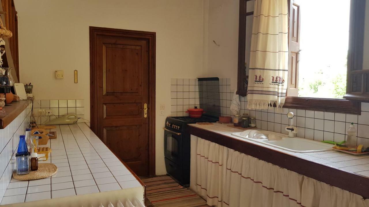 ניאה אפידאורוס Ample Modern Country Home מראה חיצוני תמונה