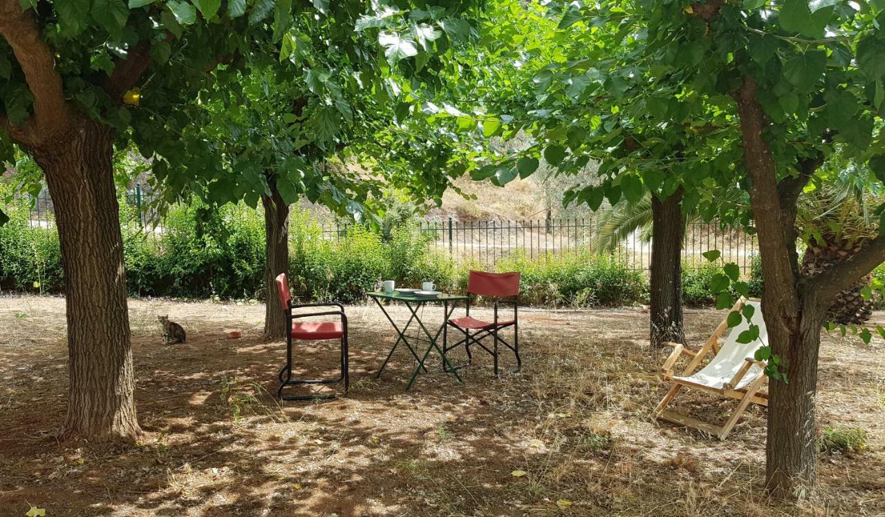 ניאה אפידאורוס Ample Modern Country Home מראה חיצוני תמונה