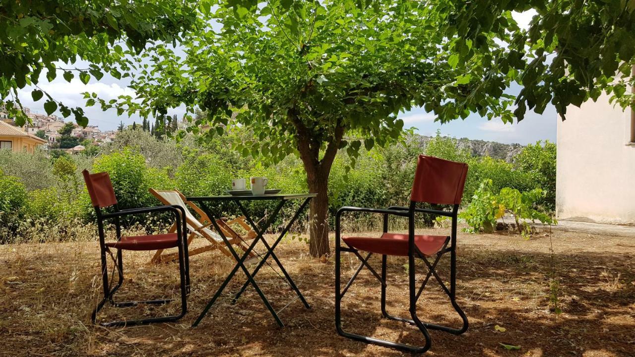 ניאה אפידאורוס Ample Modern Country Home מראה חיצוני תמונה